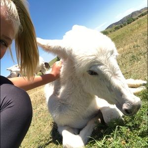 Meet your Posher, Morgan